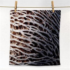 Seed Worn Lines Close Macro Face Towel by Nexatart