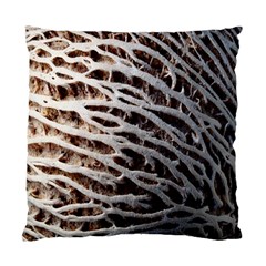 Seed Worn Lines Close Macro Standard Cushion Case (one Side) by Nexatart