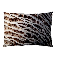 Seed Worn Lines Close Macro Pillow Case by Nexatart