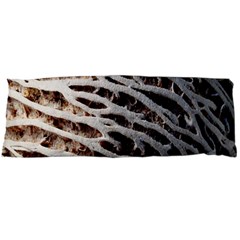 Seed Worn Lines Close Macro Body Pillow Case (dakimakura) by Nexatart