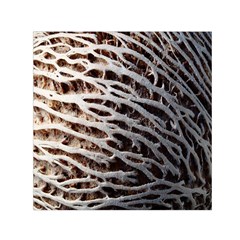 Seed Worn Lines Close Macro Small Satin Scarf (square) by Nexatart