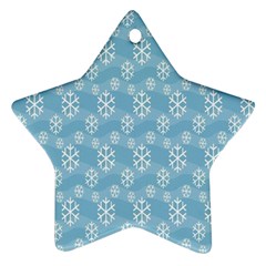 Snowflakes Winter Christmas Ornament (Star)