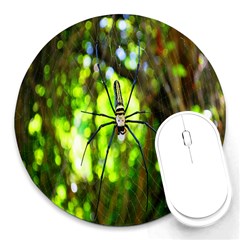 Spider Spiders Web Spider Web Round Mousepads by Nexatart