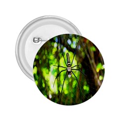 Spider Spiders Web Spider Web 2 25  Buttons