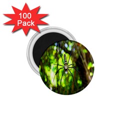 Spider Spiders Web Spider Web 1 75  Magnets (100 Pack)  by Nexatart