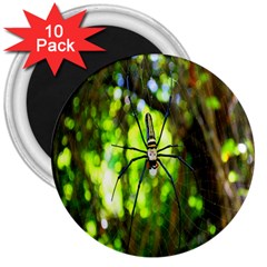 Spider Spiders Web Spider Web 3  Magnets (10 Pack)  by Nexatart