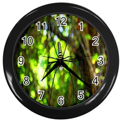 Spider Spiders Web Spider Web Wall Clocks (black) by Nexatart