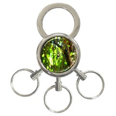 Spider Spiders Web Spider Web 3-ring Key Chains by Nexatart