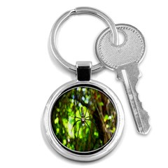 Spider Spiders Web Spider Web Key Chains (round)  by Nexatart