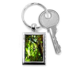 Spider Spiders Web Spider Web Key Chains (rectangle)  by Nexatart