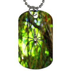 Spider Spiders Web Spider Web Dog Tag (one Side) by Nexatart