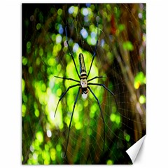 Spider Spiders Web Spider Web Canvas 12  X 16   by Nexatart