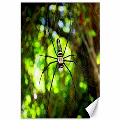 Spider Spiders Web Spider Web Canvas 20  X 30   by Nexatart