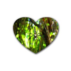 Spider Spiders Web Spider Web Heart Coaster (4 Pack)  by Nexatart