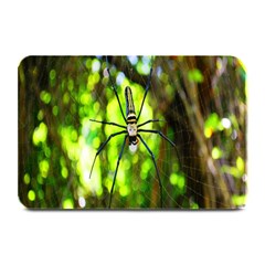 Spider Spiders Web Spider Web Plate Mats by Nexatart