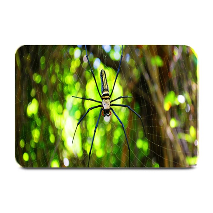 Spider Spiders Web Spider Web Plate Mats