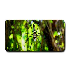 Spider Spiders Web Spider Web Medium Bar Mats by Nexatart