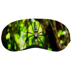 Spider Spiders Web Spider Web Sleeping Masks by Nexatart