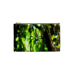 Spider Spiders Web Spider Web Cosmetic Bag (small)  by Nexatart