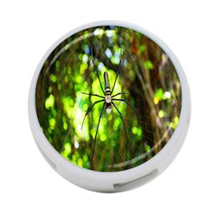 Spider Spiders Web Spider Web 4-port Usb Hub (two Sides)  by Nexatart