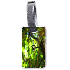 Spider Spiders Web Spider Web Luggage Tags (one Side)  by Nexatart