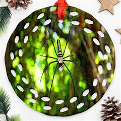 Spider Spiders Web Spider Web Ornament (round Filigree) by Nexatart