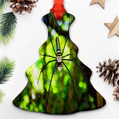 Spider Spiders Web Spider Web Ornament (christmas Tree)  by Nexatart