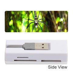 Spider Spiders Web Spider Web Memory Card Reader (stick) 