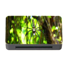 Spider Spiders Web Spider Web Memory Card Reader With Cf by Nexatart