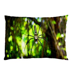 Spider Spiders Web Spider Web Pillow Case (two Sides) by Nexatart