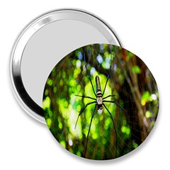 Spider Spiders Web Spider Web 3  Handbag Mirrors by Nexatart