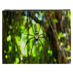 Spider Spiders Web Spider Web Cosmetic Bag (xxxl)  by Nexatart