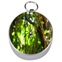 Spider Spiders Web Spider Web Silver Compasses