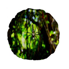 Spider Spiders Web Spider Web Standard 15  Premium Flano Round Cushions by Nexatart