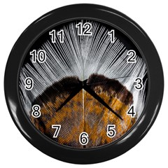 Spring Bird Feather Turkey Feather Wall Clocks (black) by Nexatart