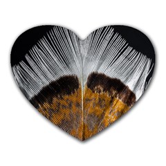 Spring Bird Feather Turkey Feather Heart Mousepads by Nexatart