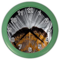 Spring Bird Feather Turkey Feather Color Wall Clocks by Nexatart