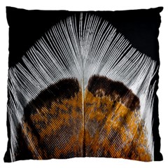 Spring Bird Feather Turkey Feather Large Flano Cushion Case (one Side) by Nexatart