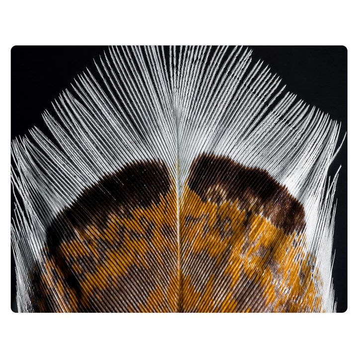 Spring Bird Feather Turkey Feather Double Sided Flano Blanket (Medium) 