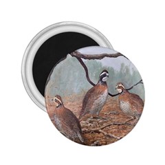 Bob White Quail 2.25  Magnets