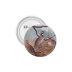 Bob White Quail 1 75  Buttons by digitaldivadesigns