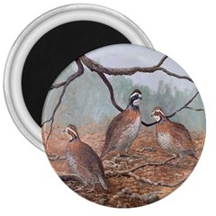 Bob White Quail 3  Magnets by digitaldivadesigns