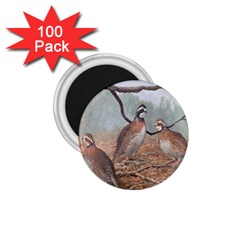 Bob White Quail 1.75  Magnets (100 pack) 