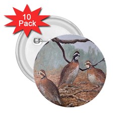 Bob White Quail 2.25  Buttons (10 pack) 