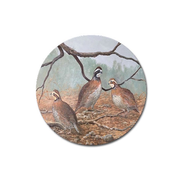 Bob White Quail Magnet 3  (Round)