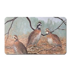 Bob White Quail Magnet (Rectangular)