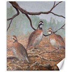 Bob White Quail Canvas 8  x 10 