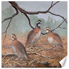 Bob White Quail Canvas 12  x 12  