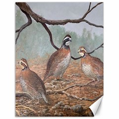 Bob White Quail Canvas 12  x 16  