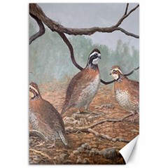 Bob White Quail Canvas 12  x 18  